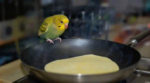 Chandeleur : ces poêles en Téflon, un danger mortel pour vos oiseaux domestiques